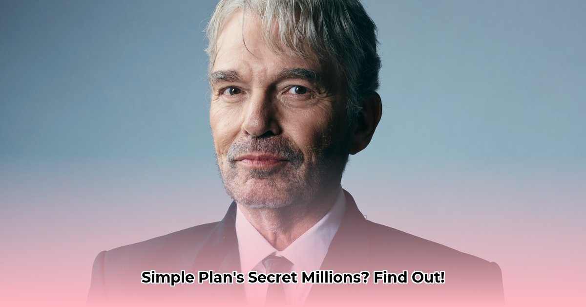 simple-plan-net-worth